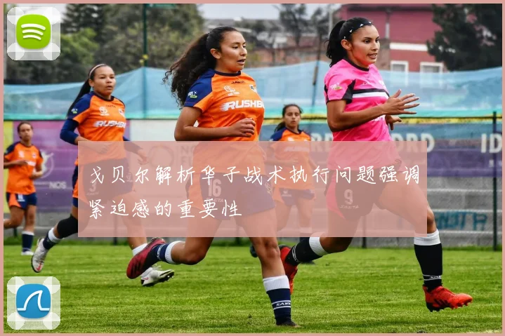 戈贝尔解析华子战术执行问题强调紧迫感的重要性
