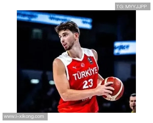 小火龙进化之路费尔顿称申京为萨博尼斯升级版约基奇的平民替代者